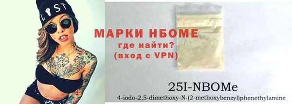 мет Алексин