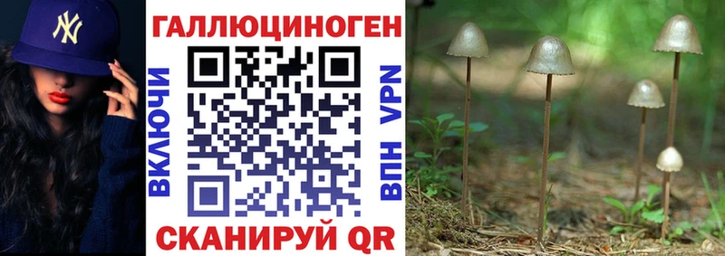 Галлюциногенные грибы мухоморы  Дорогобуж 